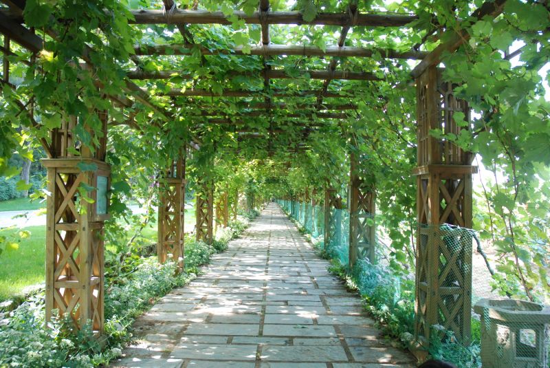 Trellis Repair