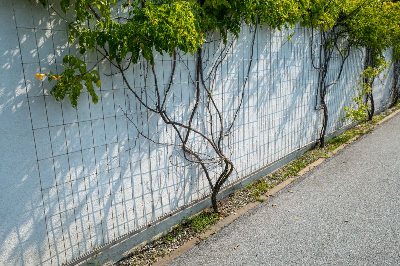 Trellis Repair
