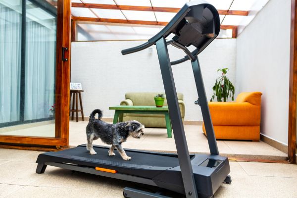 Treadmill Installation in Garland