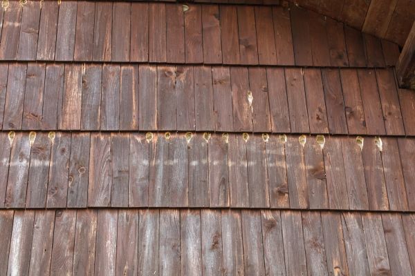 Woodpecker Hole Filling in Garland