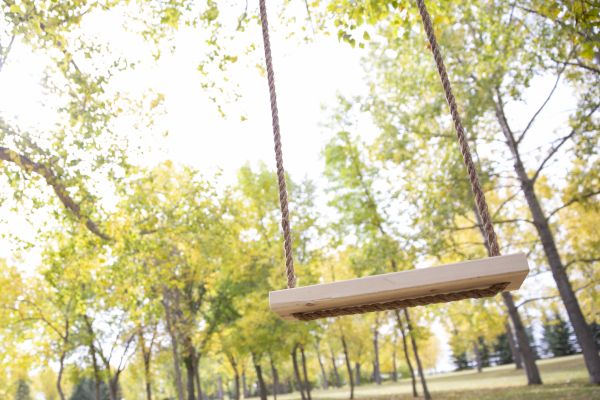 Tree Swing Installation in Garland