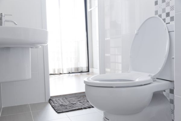 Toilet Seat Installation in Garland