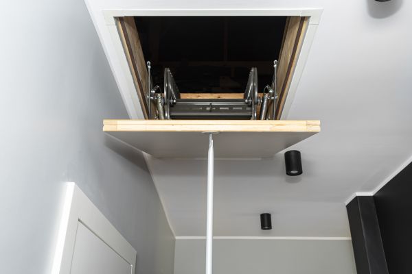 Attic Door Repair in Garland