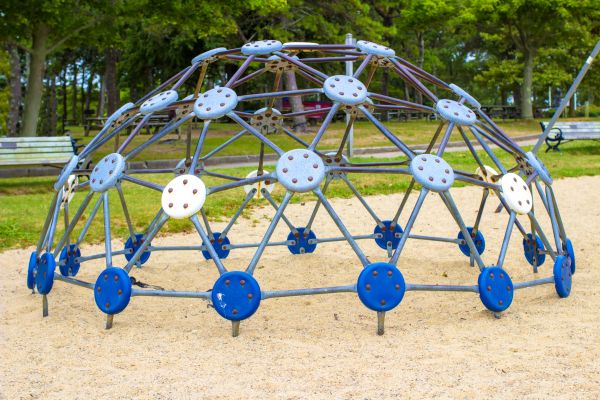 Jungle Gym Assembly in Garland