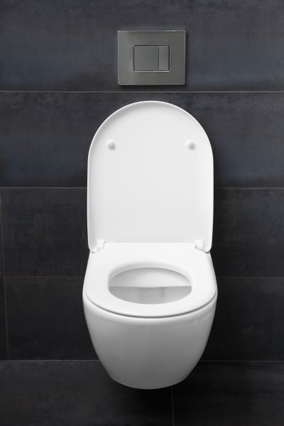 Toilet Lid Installation in Garland