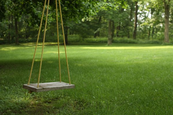 Rope Swing Installation in Garland