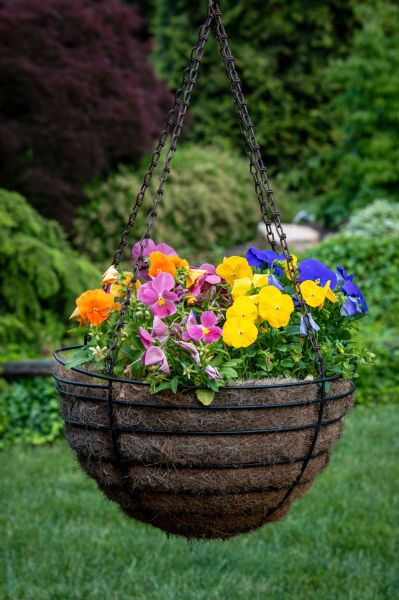 Hanging Basket Installation in Garland