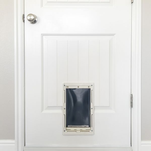 Pet Door Repair in Garland