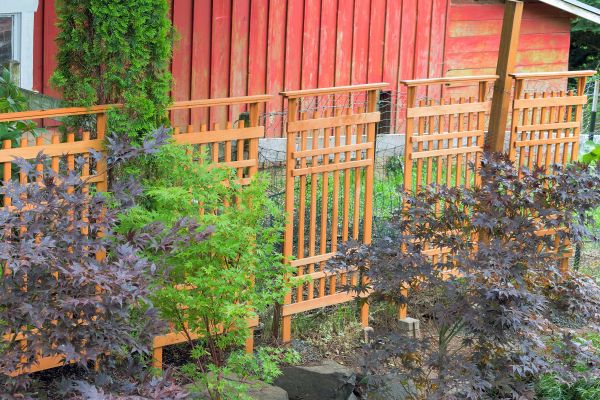 Wood Trellis Mounting in Garland