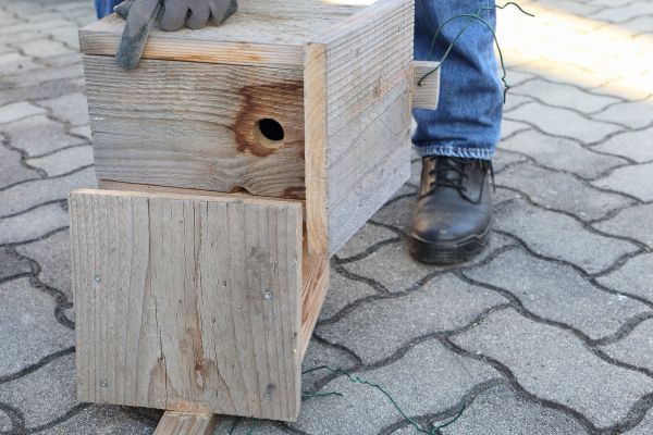 Birdhouse Mounting in Garland