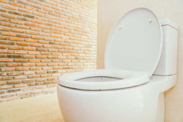 Toilet Seat Repair in Garland